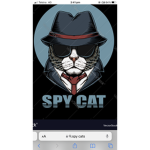 The secrete spy cat squad