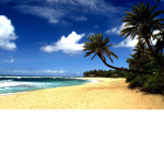 Hawaii Vibes and Aloha
