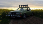 Neoflexkingen24