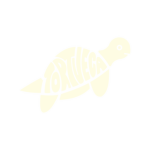 Tortuega Prototypes