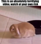 I enjoy being in the prsence of rabbits Group Thumbnail
