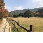 대한민국 육군 백마부대 | Republic Of Korea Army