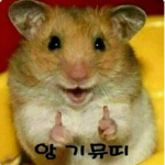 동물목욕탕