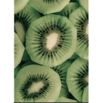 Kiwi Champ