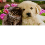 besties for life and will always be