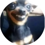 GuarachasConCucarachas