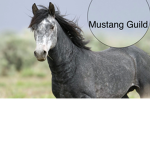 Mustang Guild [Sword Burst II]