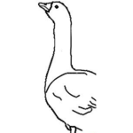 Saftige Gänse