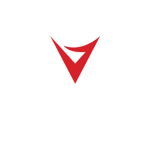 VilegGroup Holdings