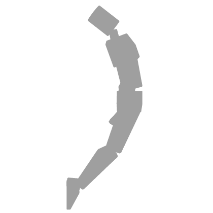 Dolphin Dance Roblox emote