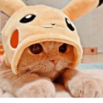 ~TheCuties~