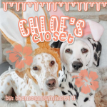 ~ Chloe's closet ~
