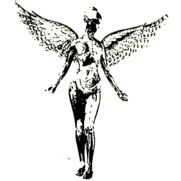 '*•.¸