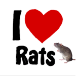 The rats that slay