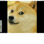 EPIC DOGE!!