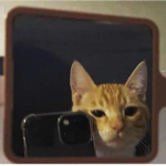 AngelClawz