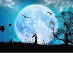 THe SQuad Moonlight