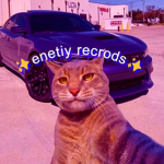 Entity Records