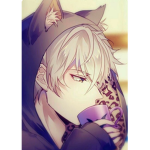 Dark Wolf Grupo oficial