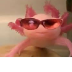 Axolotls Krew