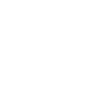 SRT - RABBIT Platoon