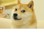 Small Doge