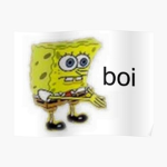 Da bois member ship