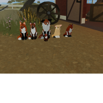 Warrior Cats Group!!