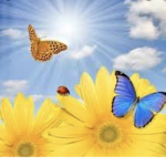 Sunflower_squad123