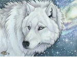 Spirit of the Wolf