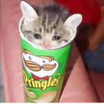 Chips -w-