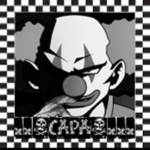 C A P A