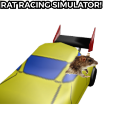 UGLY RATS RACING COURSE