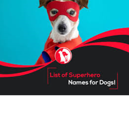 Fight for doggo county hero's(TESTING ALPHA)