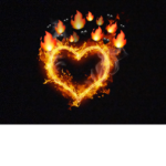 Bit-flames