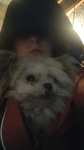 Alex. On. Paws