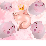 TIMMY OUR PIG GOD