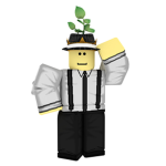 The Roblox Fans ;)