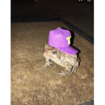 THE SCARY VACUUM