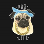 Pug Life Nation