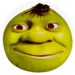 fw의 게임