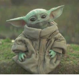 Meeting Yoda