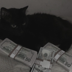 \money