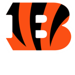 Bengals Team/fan group
