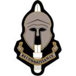 (GB) Special Reconnaissance Regiment