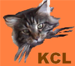 kitten and cat lovers