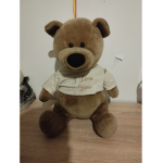 Teddy Bear group 2008