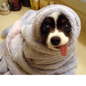 copy of skibidi beta gyat