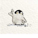 Cute Penguins from Antarctica