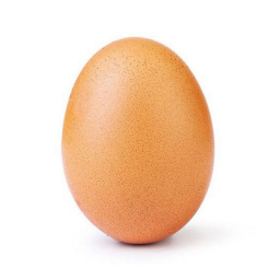 Eggo